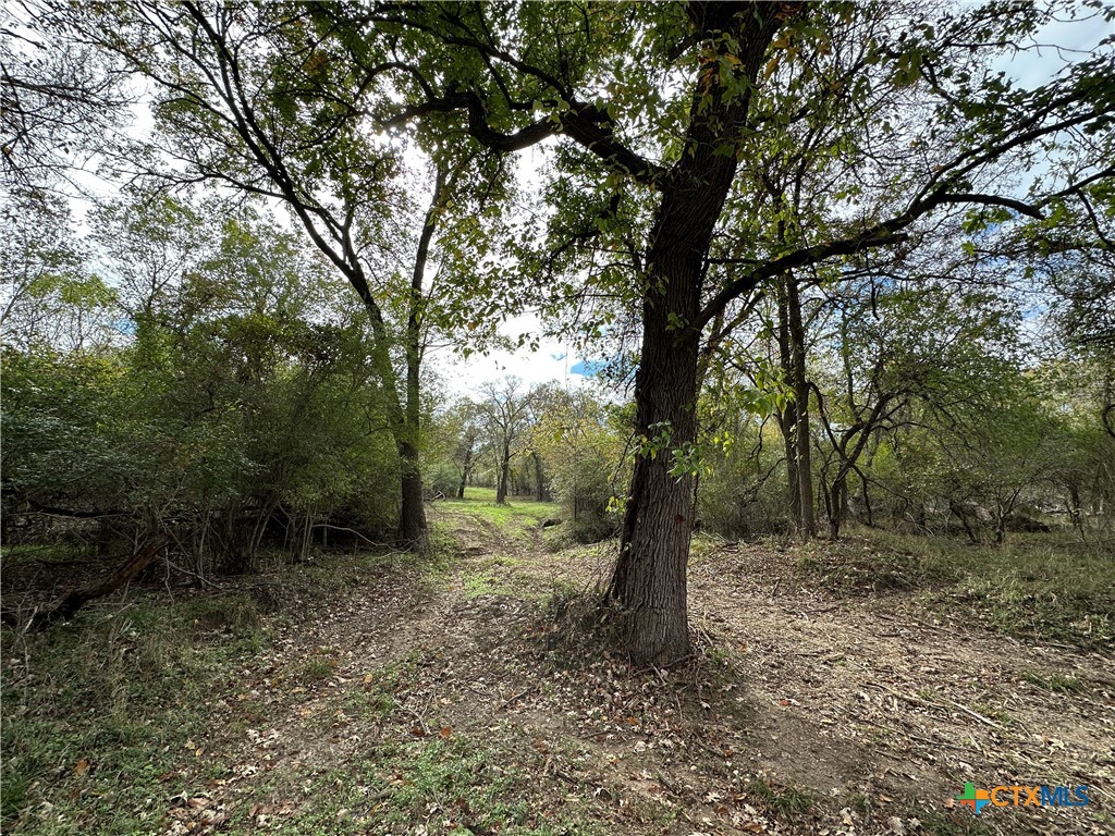 17800 E Fm 2268 Property Photo 9