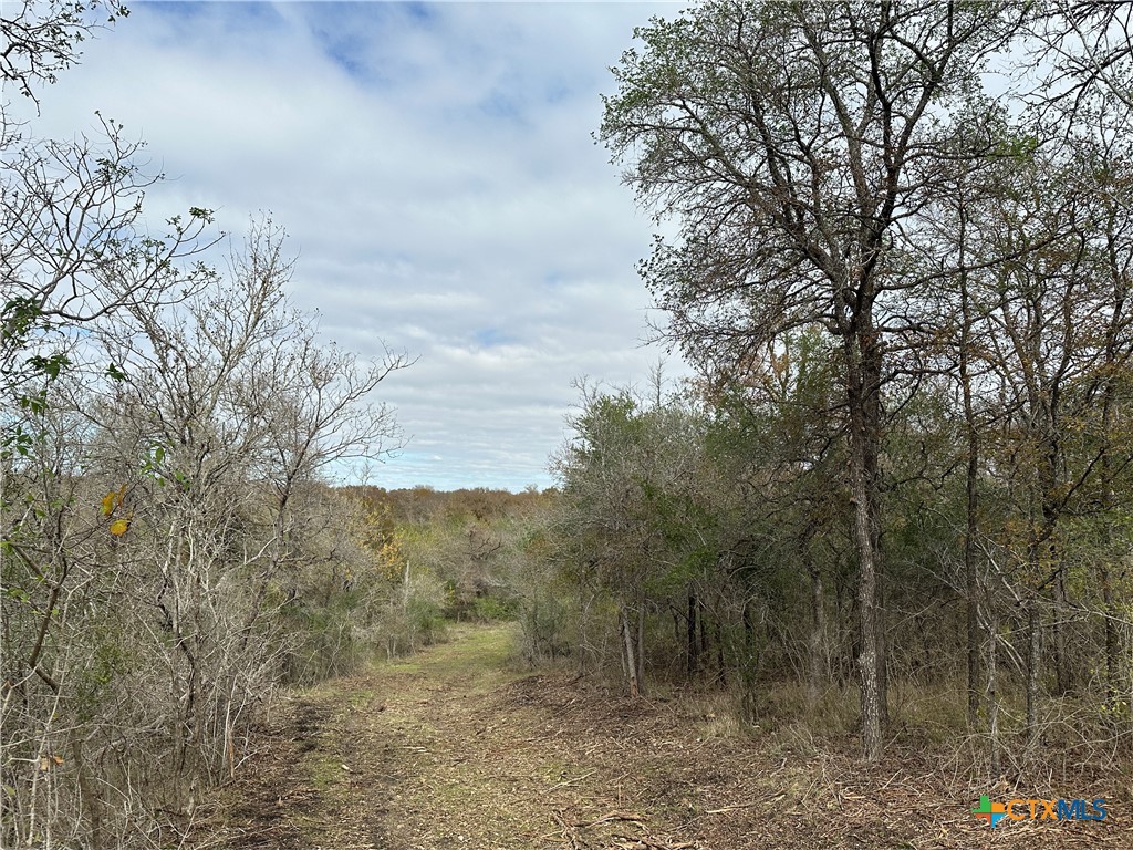 17800 E Fm 2268 Property Photo 11