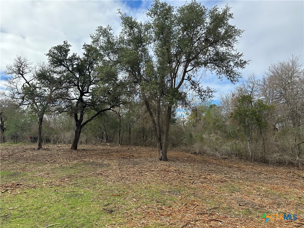 17800 E Fm 2268 Property Photo 12