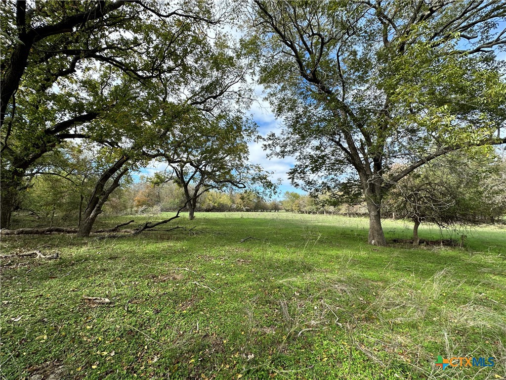 17800 E Fm 2268 Property Photo 13
