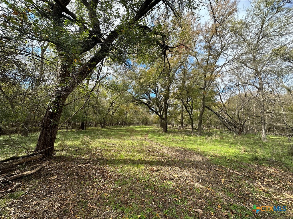 17800 E Fm 2268 Property Photo 14
