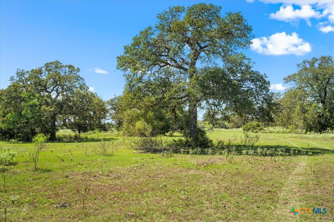 200 Lonita Lane Property Photo 7