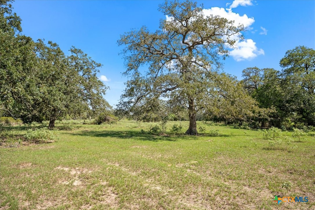 200 Lonita Lane Property Photo 11