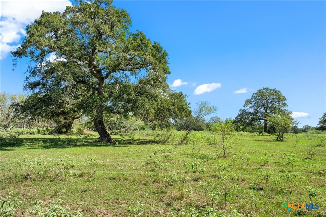 200 Lonita Lane Property Photo 20