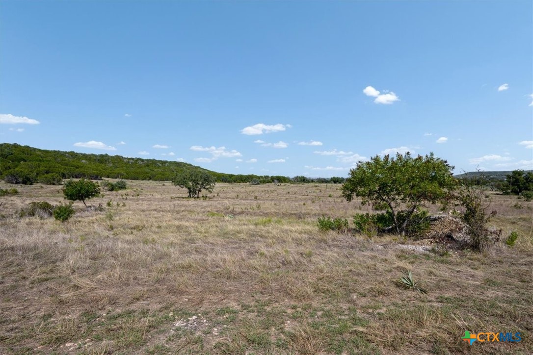 1500 County Road 161 Property Photo 36