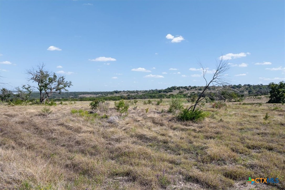 1500 County Road 161 Property Photo 39