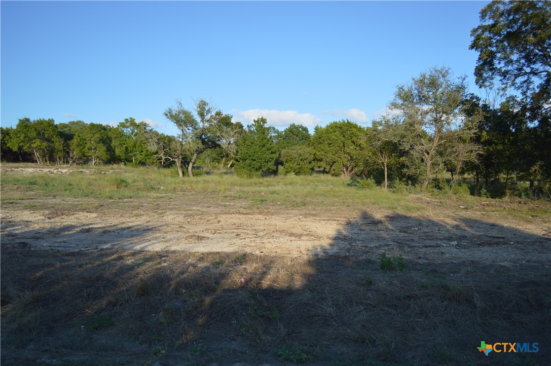 1.5 Acres, Lot 3, County Road 3068 Property Photo 1