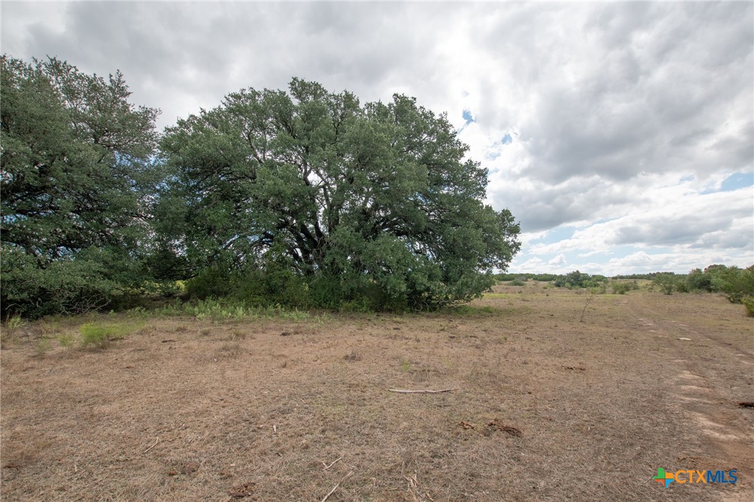 Tbd Tbd-384 Acres Property Photo 4