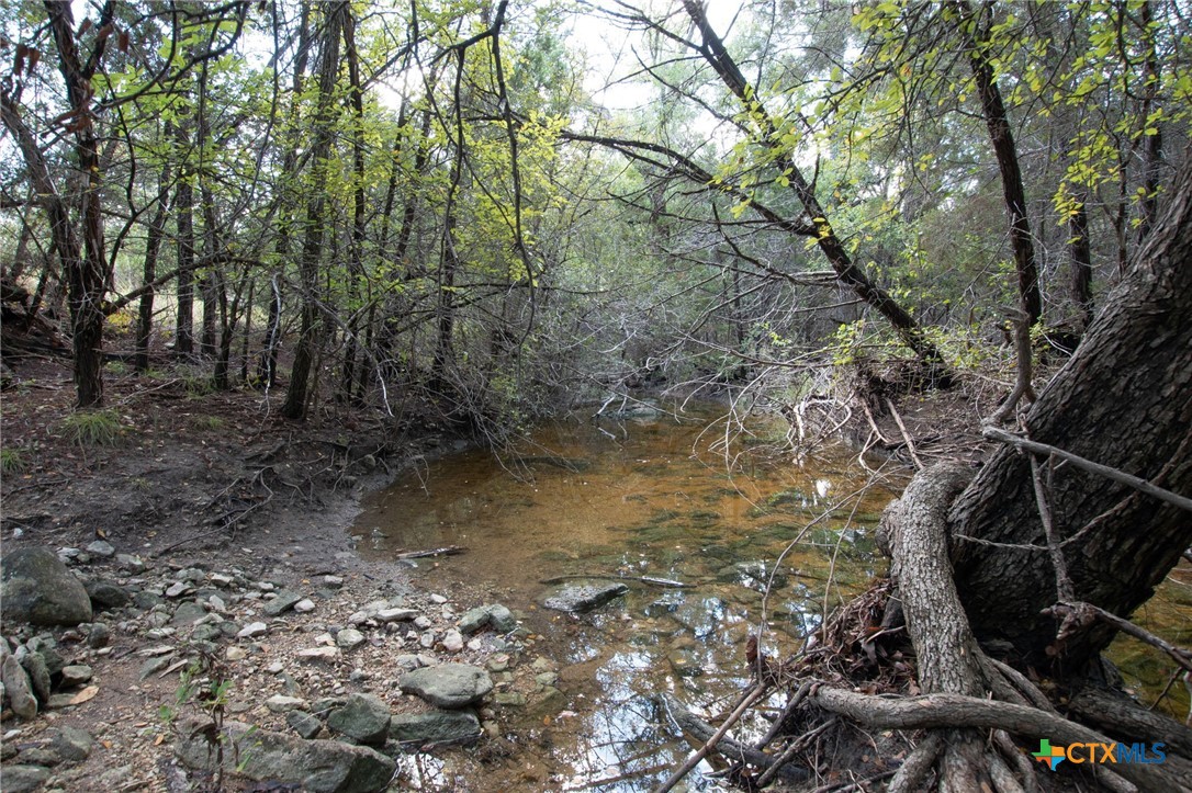 Tbd Tbd-384 Acres Property Photo 12