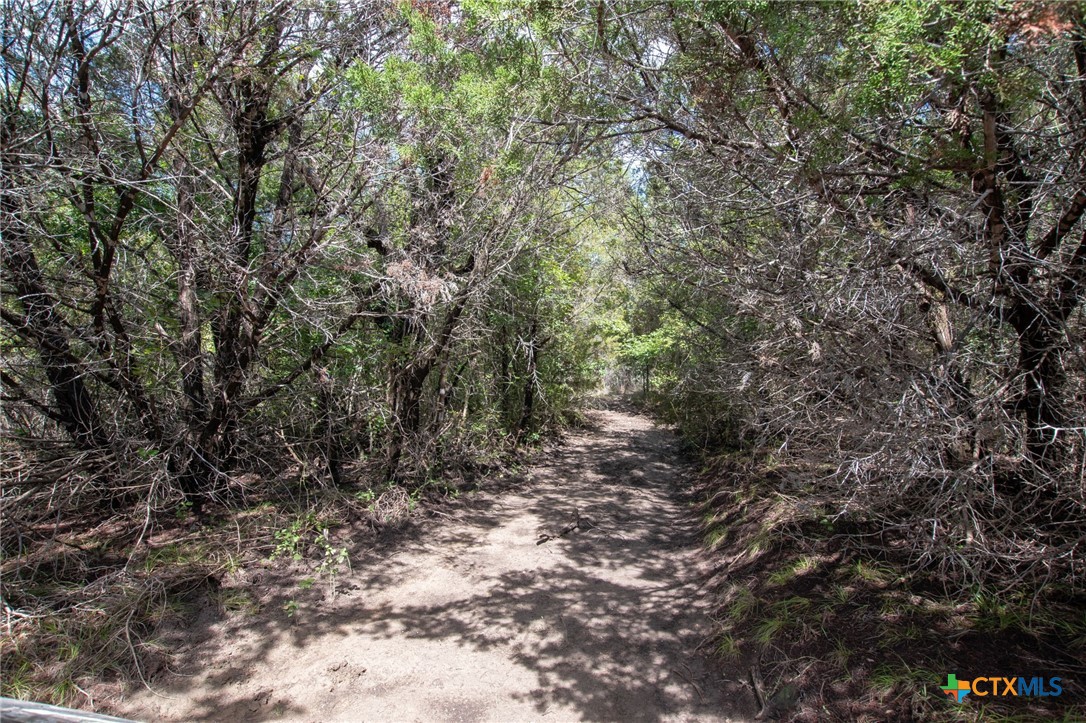 Tbd Tbd-384 Acres Property Photo 13