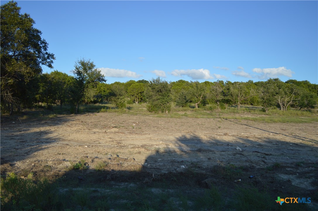 1.5 Acres, Lot 4, County Road 3068 Property Photo 1