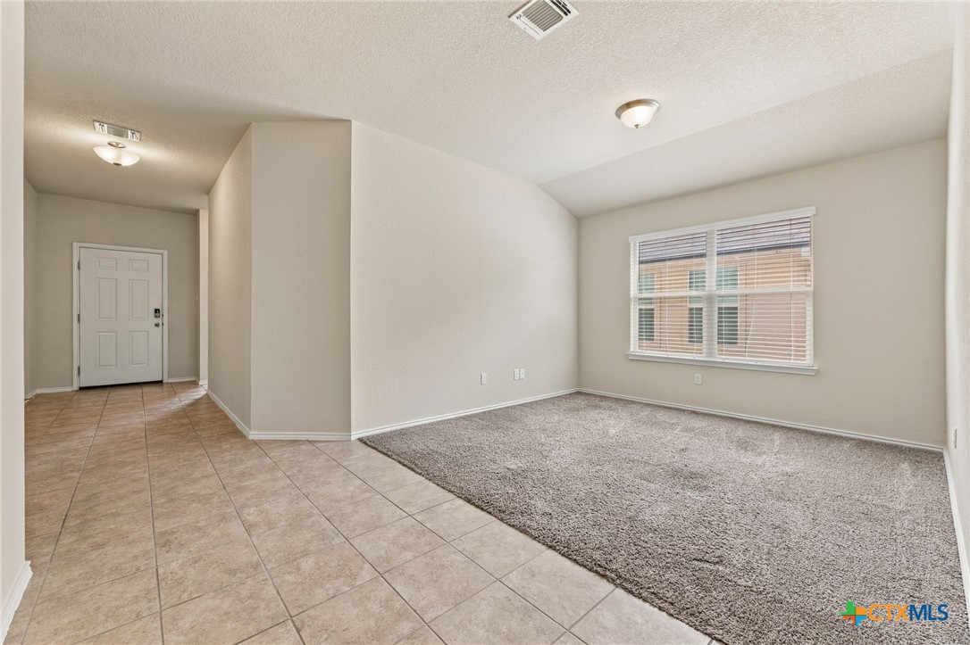 1005 Ibis Falls Loop Property Photo 16