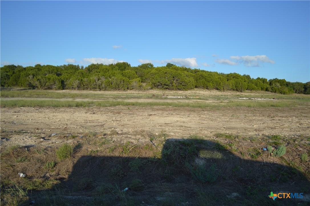 1.5 Acres, Lot 6, County Road 3068 Property Photo 1