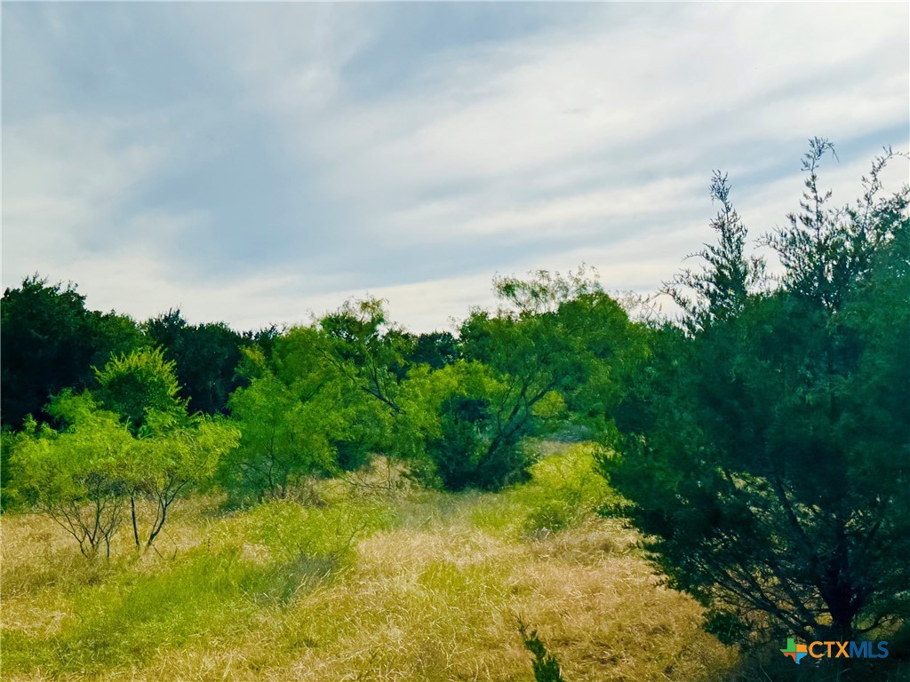8365 Fm 2412 Property Photo 31