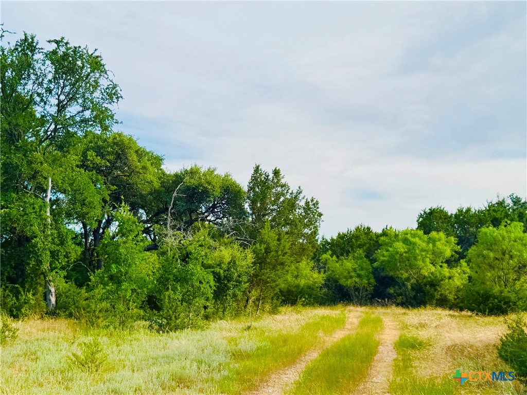 8365 Fm 2412 Property Photo 32