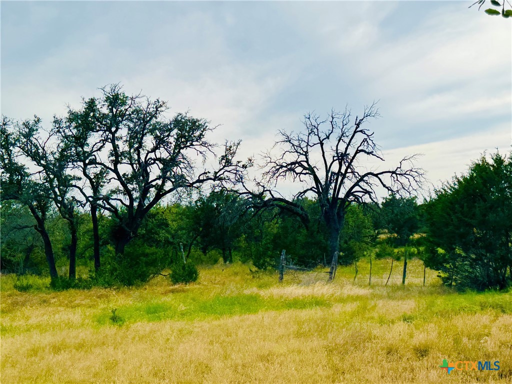8365 Fm 2412 Property Photo 33