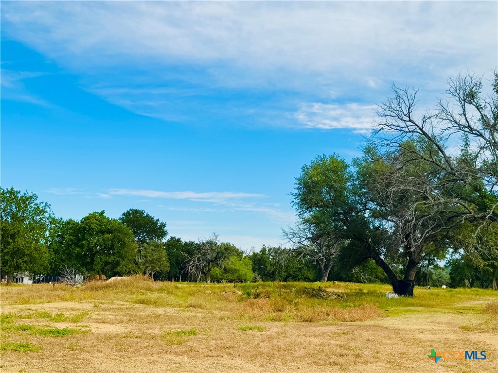 8365 Fm 2412 Property Photo 35
