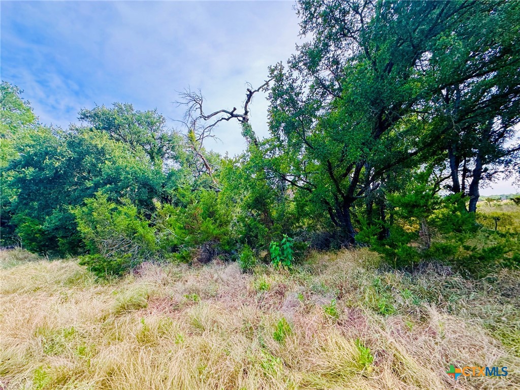8365 Fm 2412 Property Photo 37