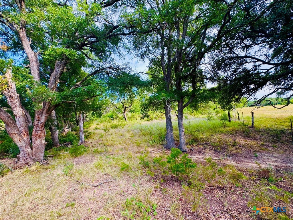8365 Fm 2412 Property Photo 38