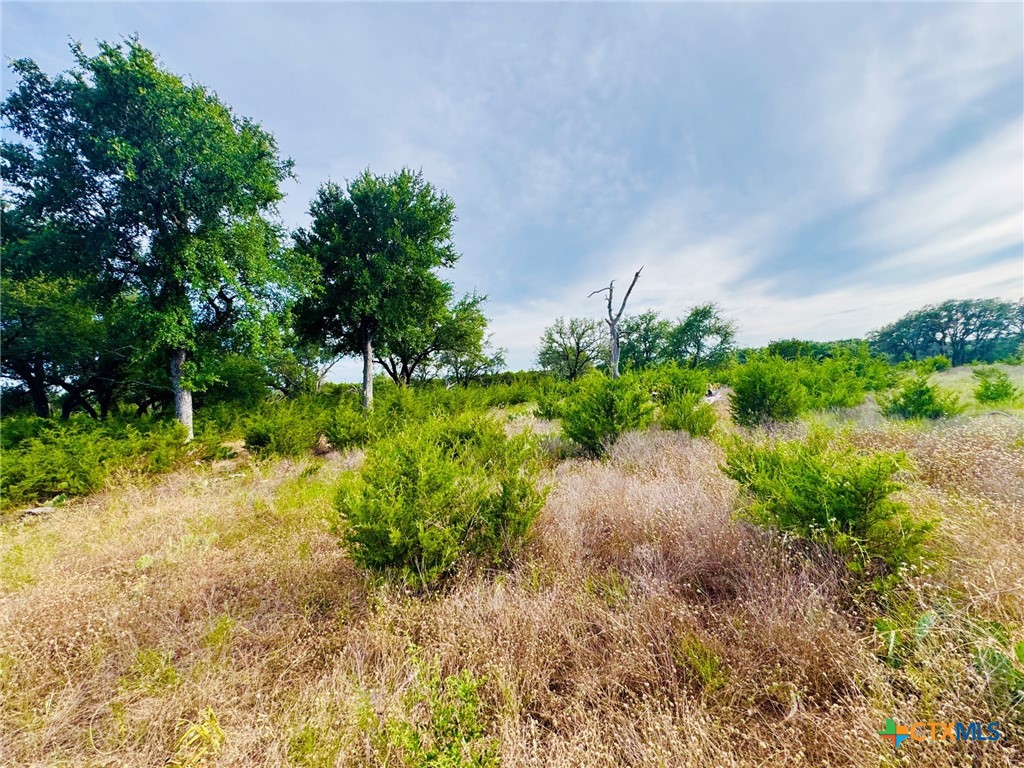 8365 Fm 2412 Property Photo 39