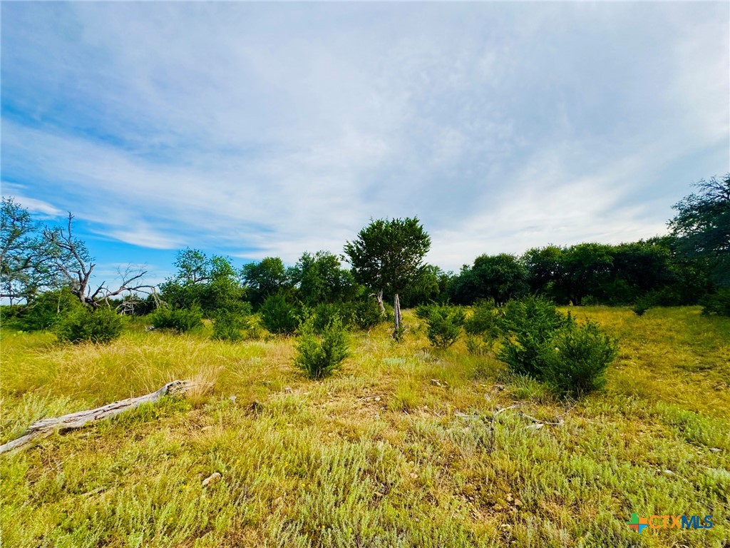 8365 Fm 2412 Property Photo 40
