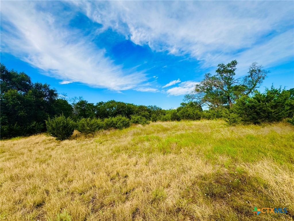 8365 Fm 2412 Property Photo 41