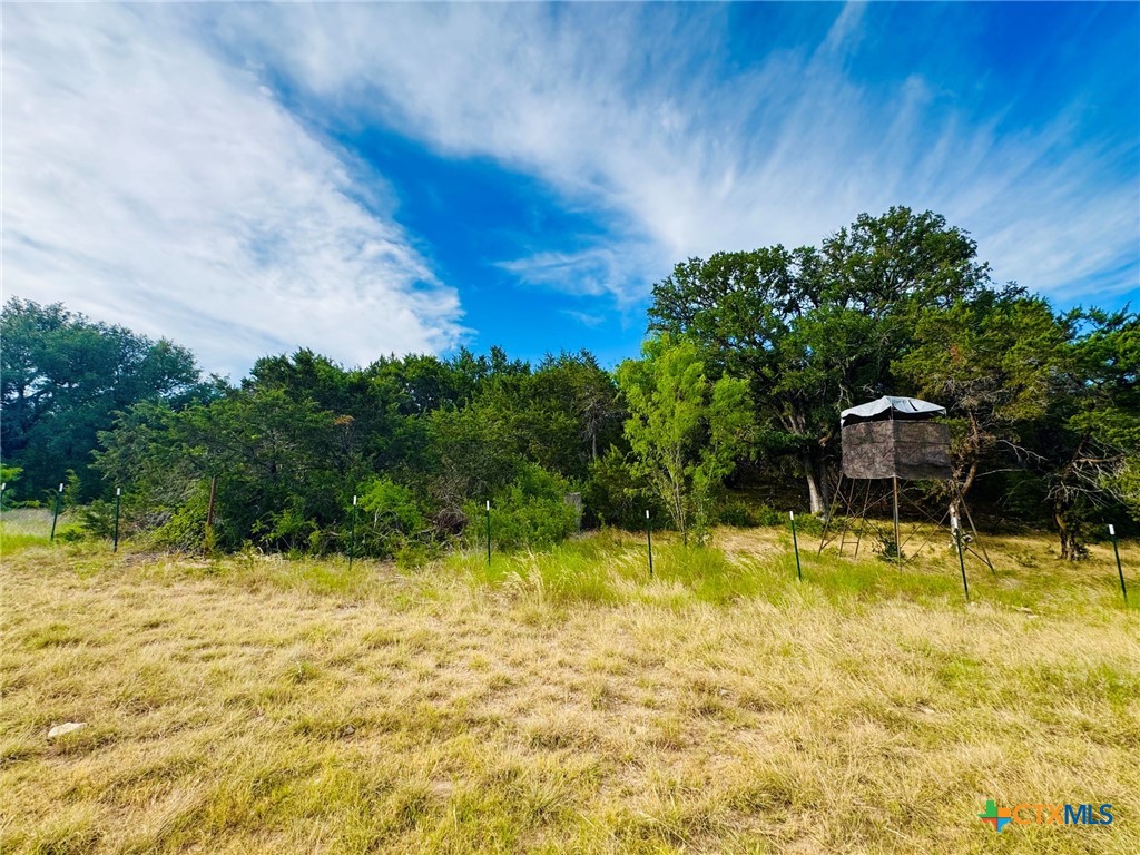 8365 Fm 2412 Property Photo 43