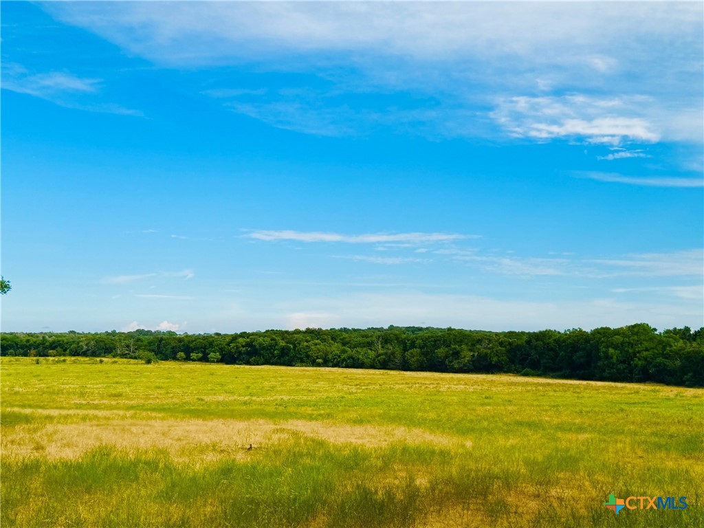 8365 Fm 2412 Property Photo 45