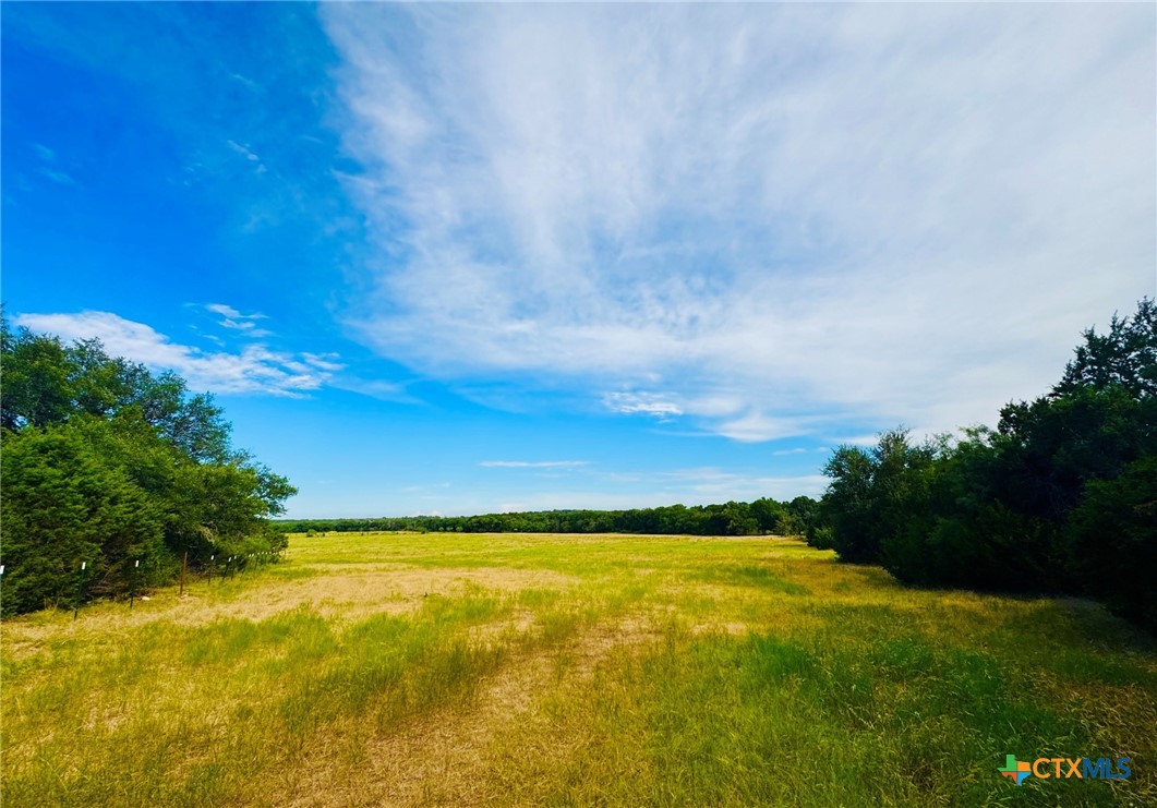 8365 Fm 2412 Property Photo 47