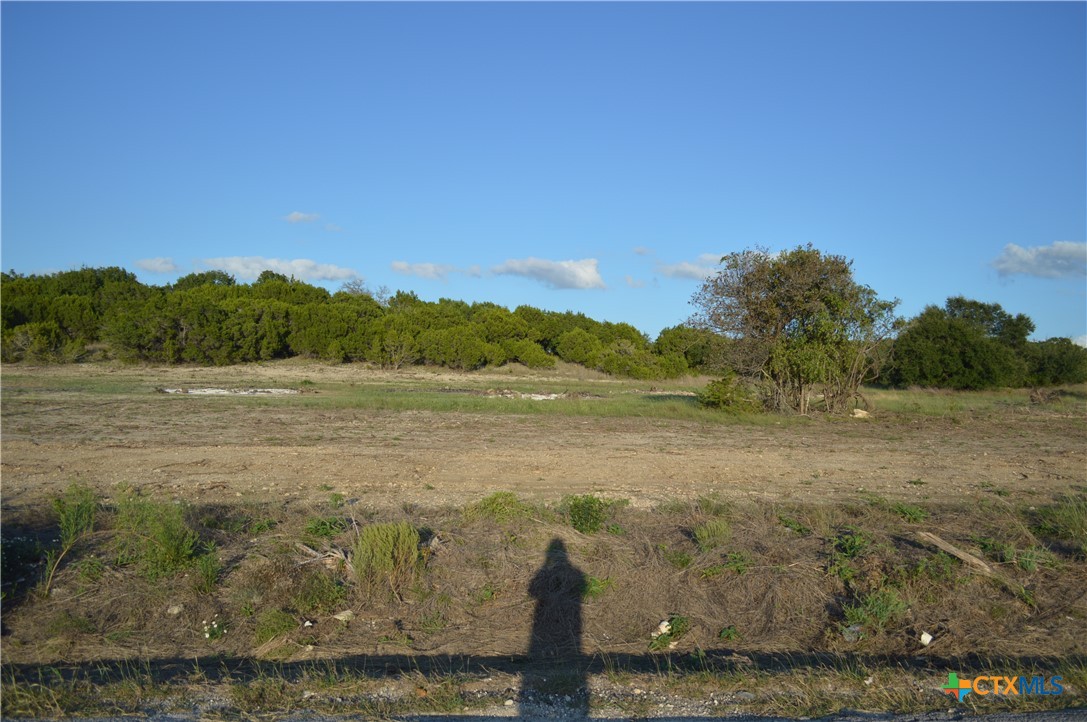 1.5 Acres, Lot 7, County Road 3068 Property Photo 1