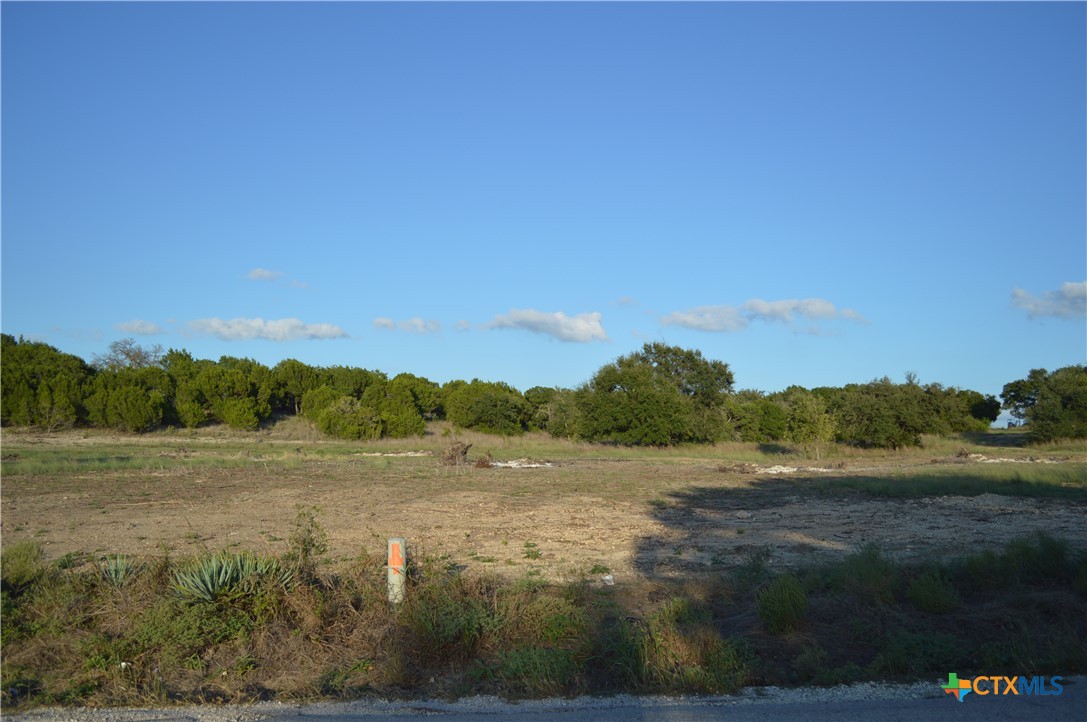 1.5 Acres, Lot 8, County Road 3068 Property Photo 1