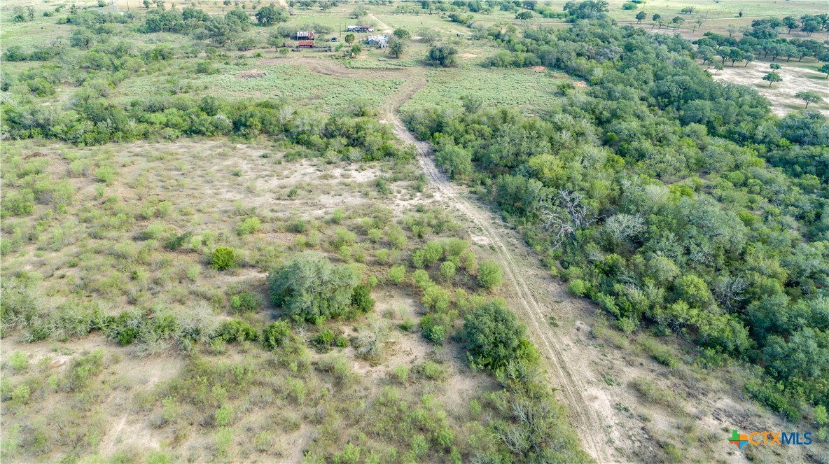 1116 Earl Williams Road Property Photo 7