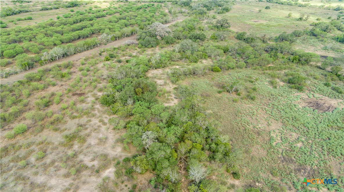 1116 Earl Williams Road Property Photo 8