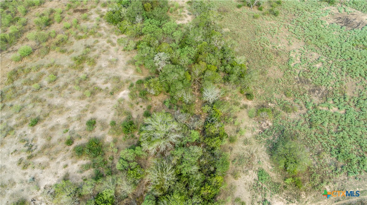 1116 Earl Williams Road Property Photo 9