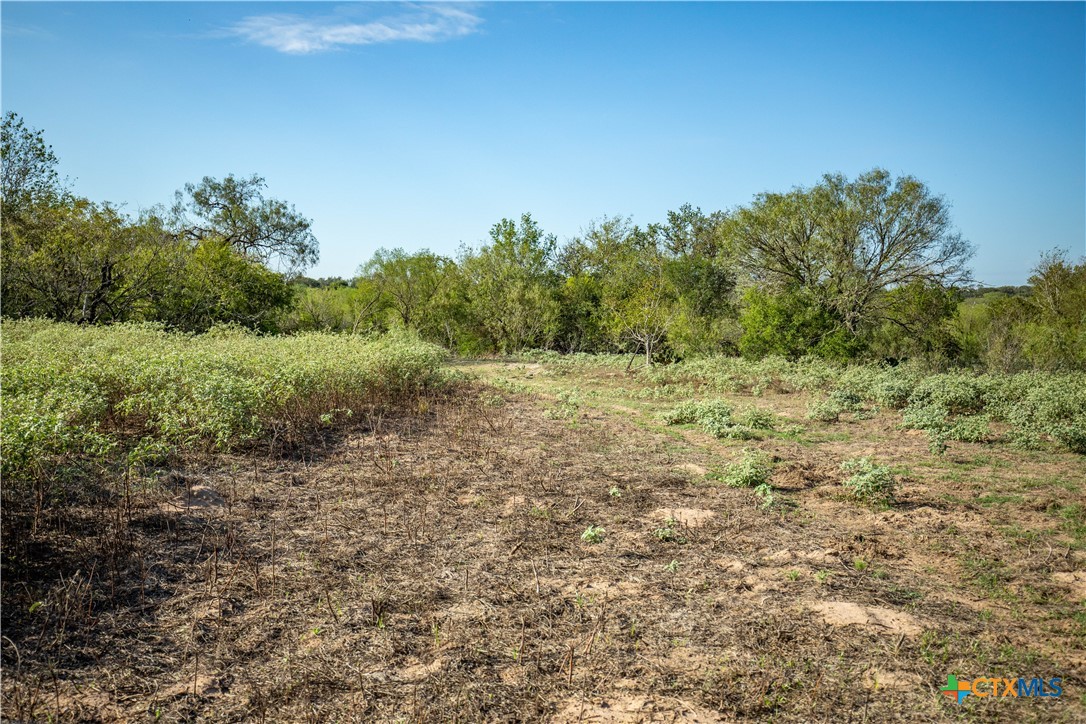 1116 Earl Williams Road Property Photo 19