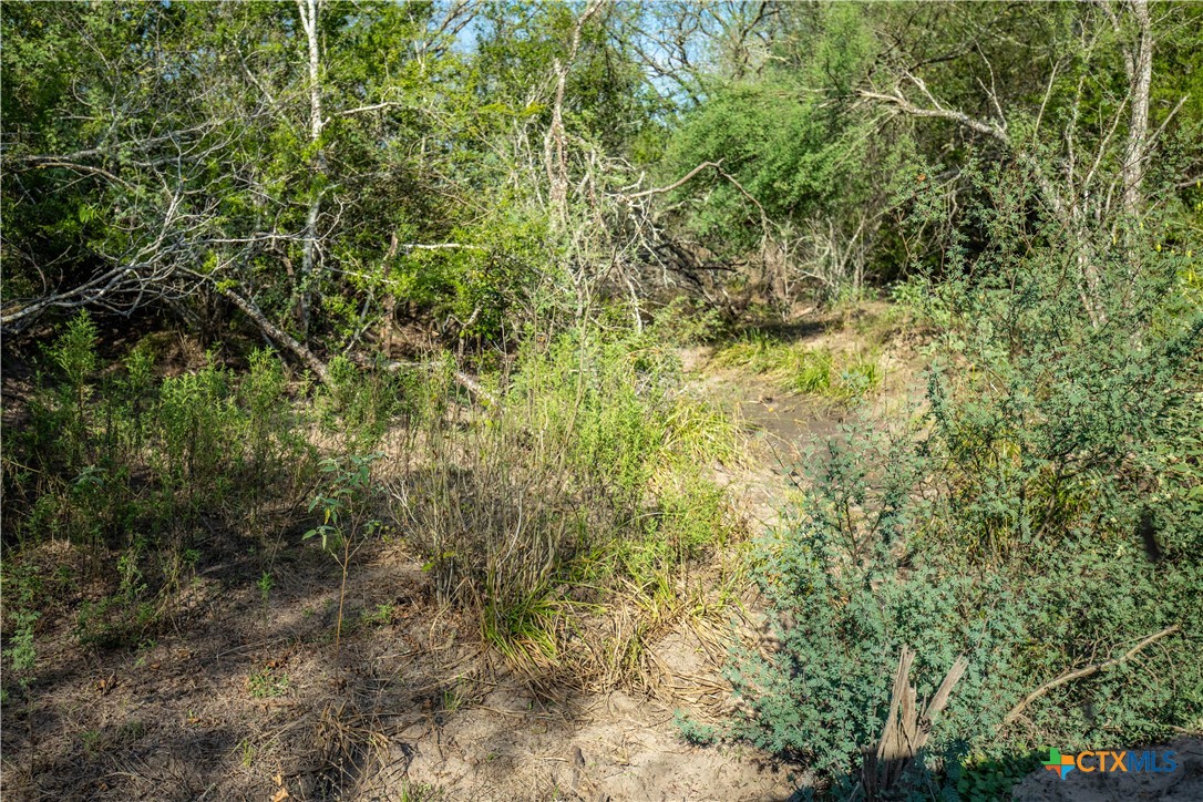 1116 Earl Williams Road Property Photo 21
