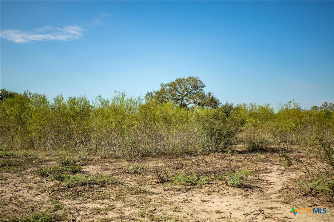 1116 Earl Williams Road Property Photo 22