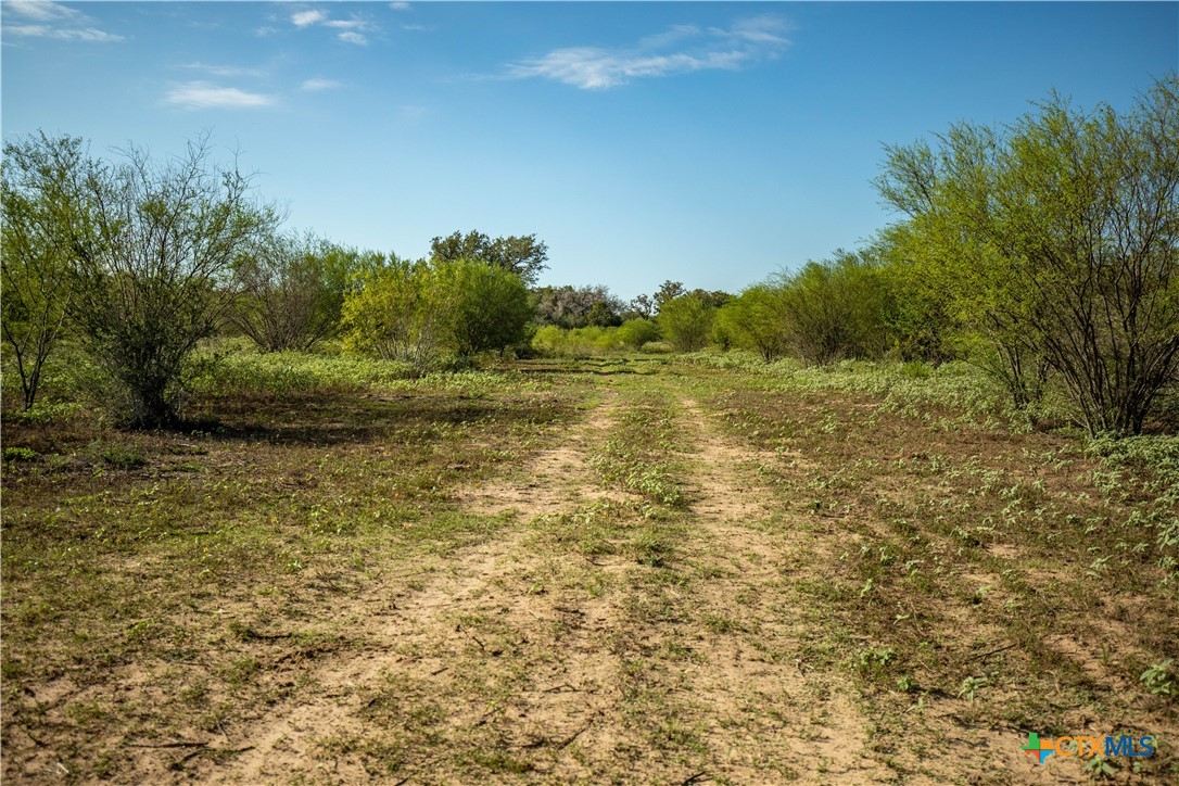 1116 Earl Williams Road Property Photo 23