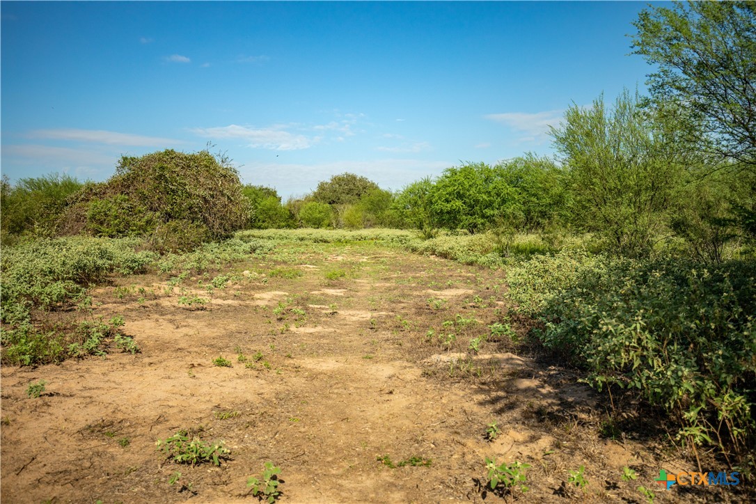 1116 Earl Williams Road Property Photo 24