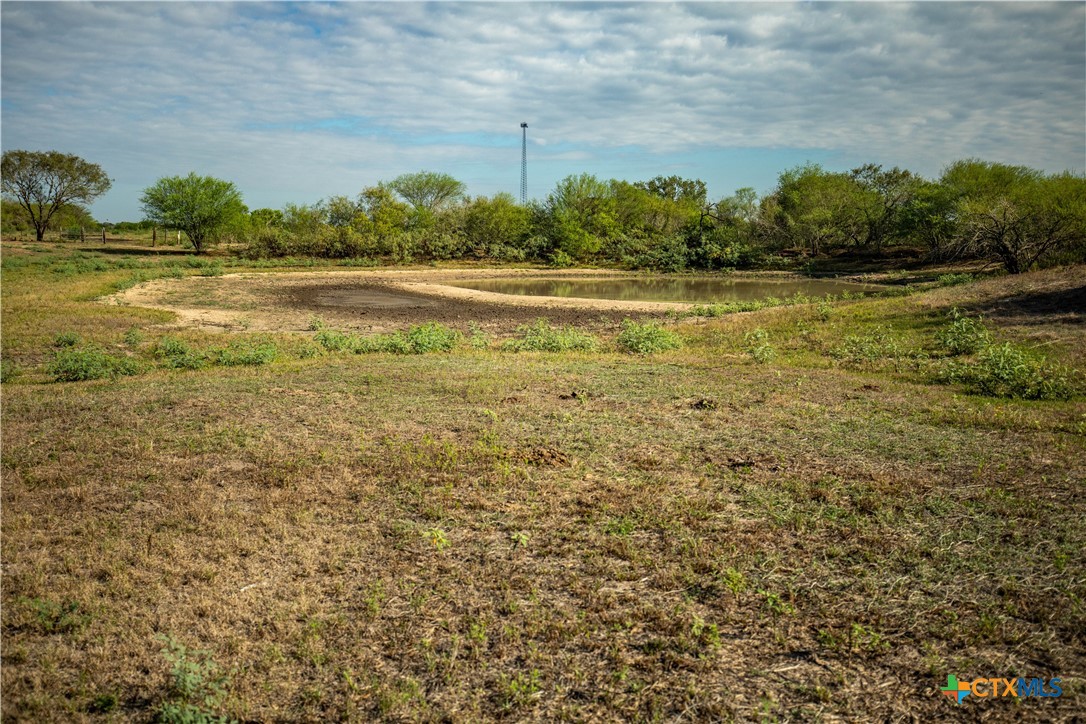 1116 Earl Williams Road Property Photo 26
