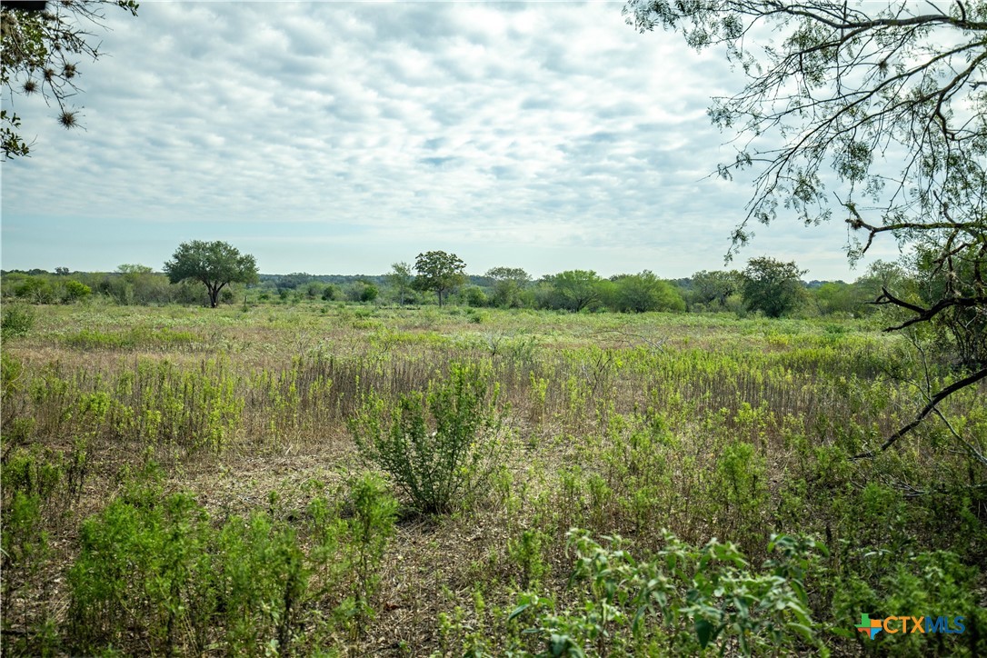 1116 Earl Williams Road Property Photo 28