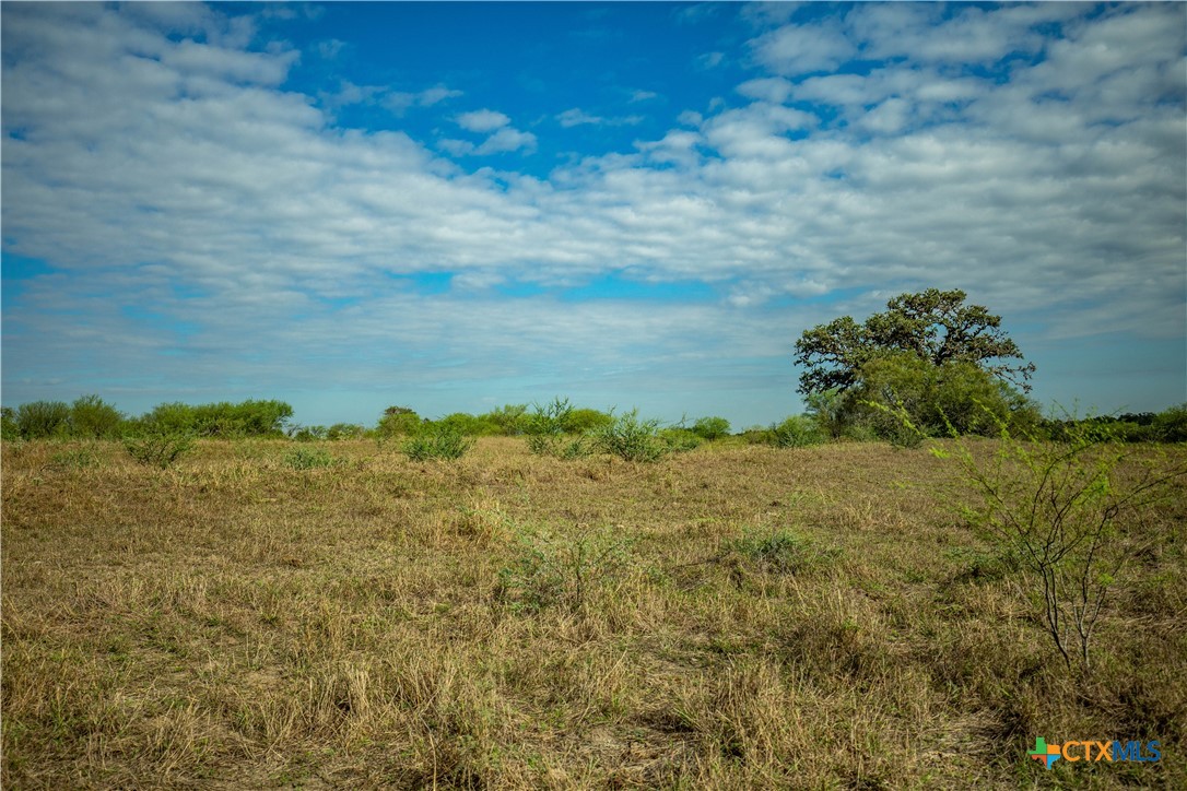 1116 Earl Williams Road Property Photo 29