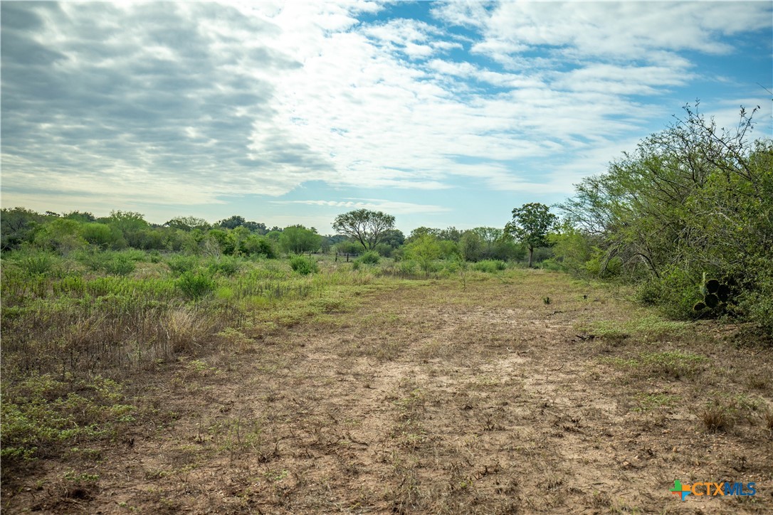 1116 Earl Williams Road Property Photo 30