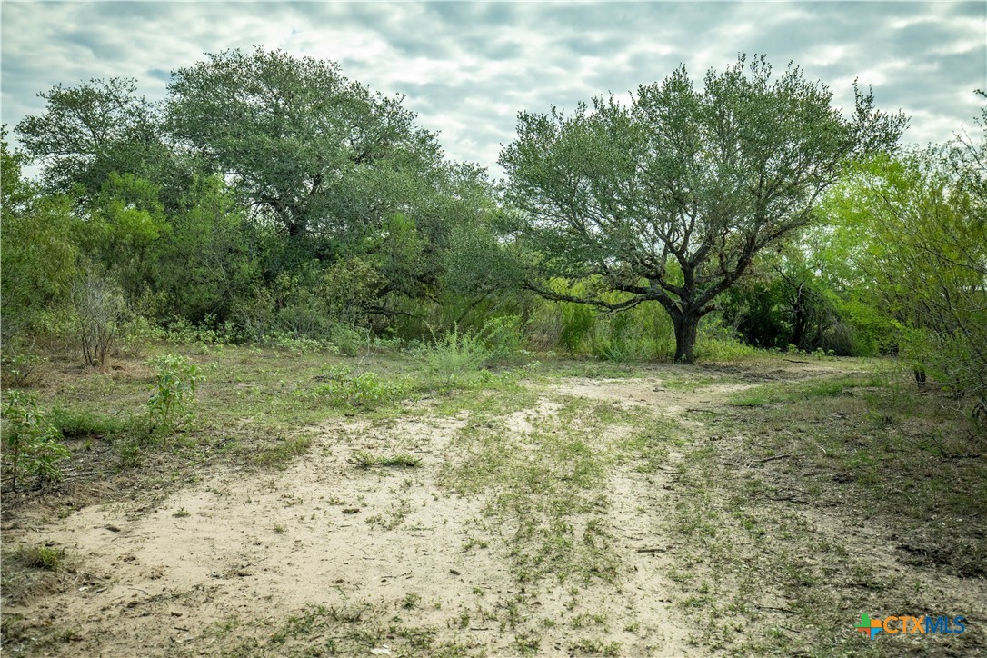 1116 Earl Williams Road Property Photo 32