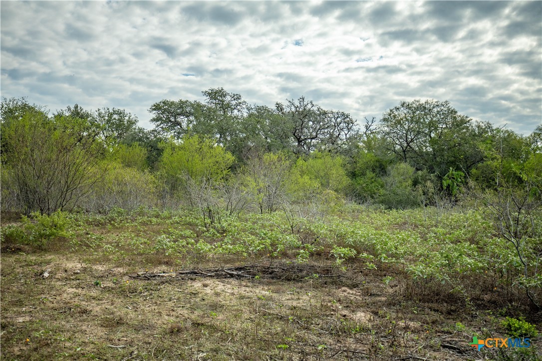 1116 Earl Williams Road Property Photo 39