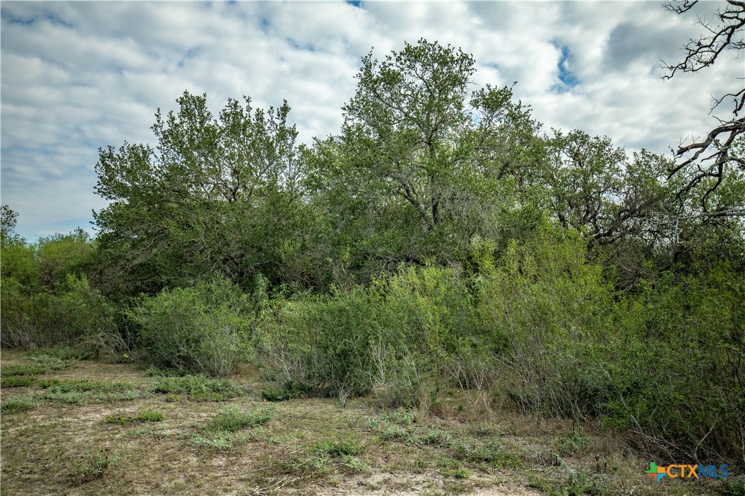 1116 Earl Williams Road Property Photo 40