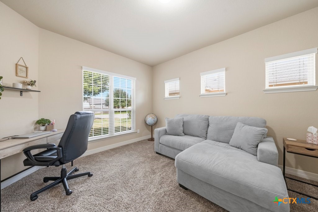 773 Great Cloud Property Photo 17