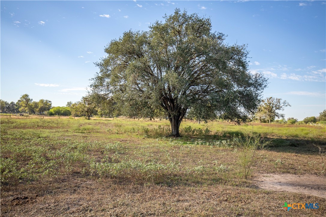 Tba State Highway 119 Property Photo 5