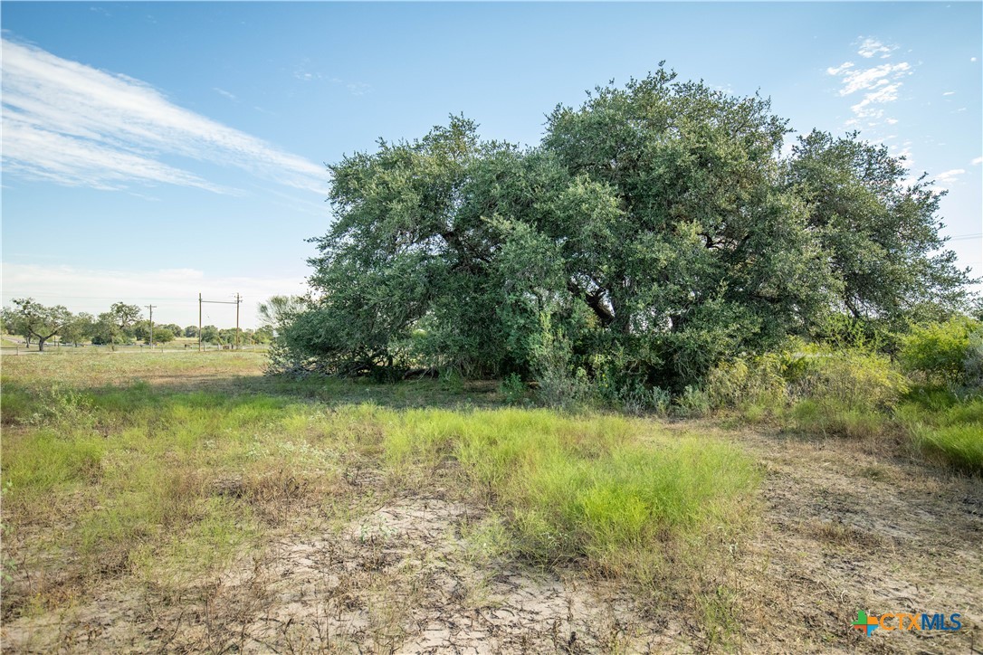 Tba State Highway 119 Property Photo 34