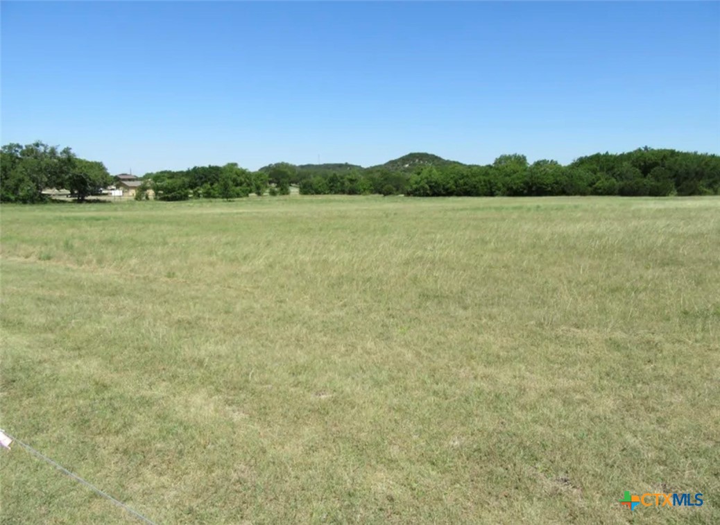 9888 Trimmier Road Property Photo 2